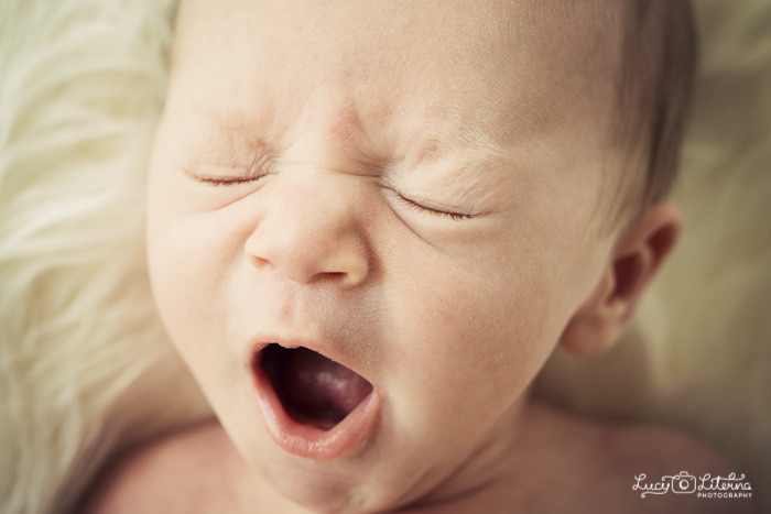 newborn photography