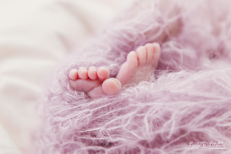 baby toes newborn photo