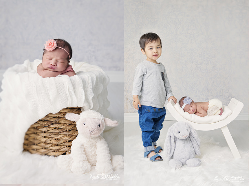 basket newborn portrait