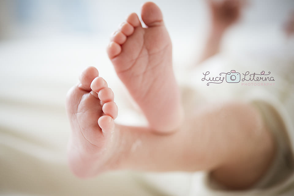 newborn photography