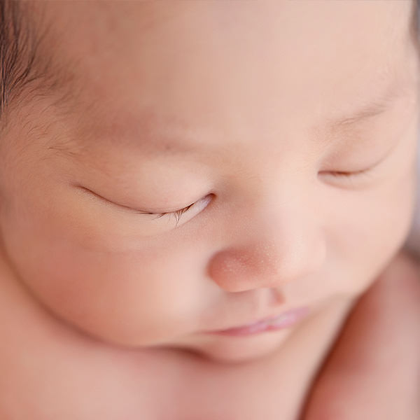 newborn photography prices