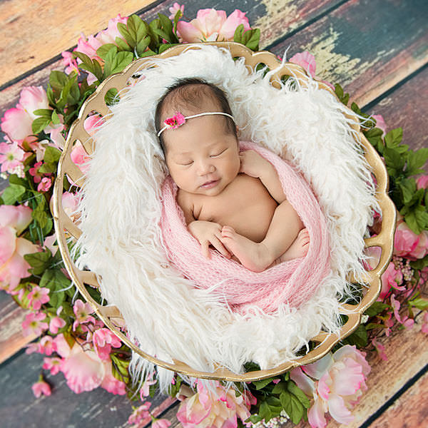 newborn photography pricing