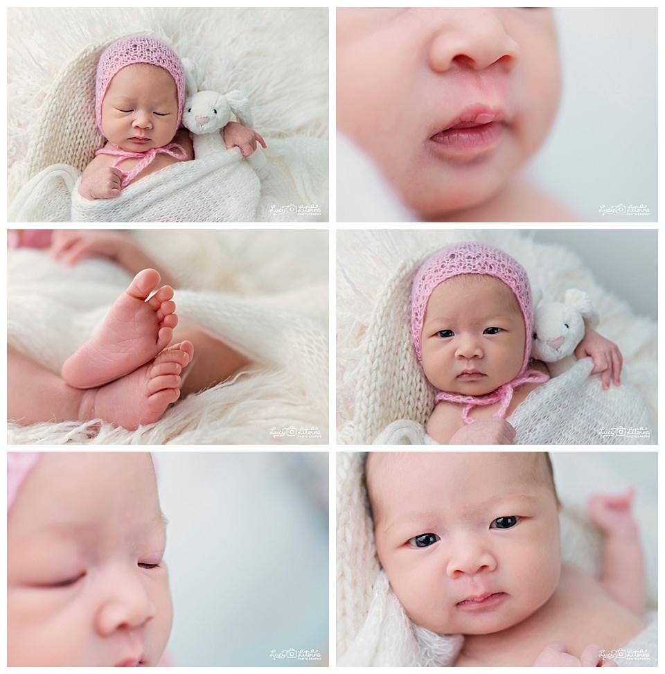 newborn photography in toronto