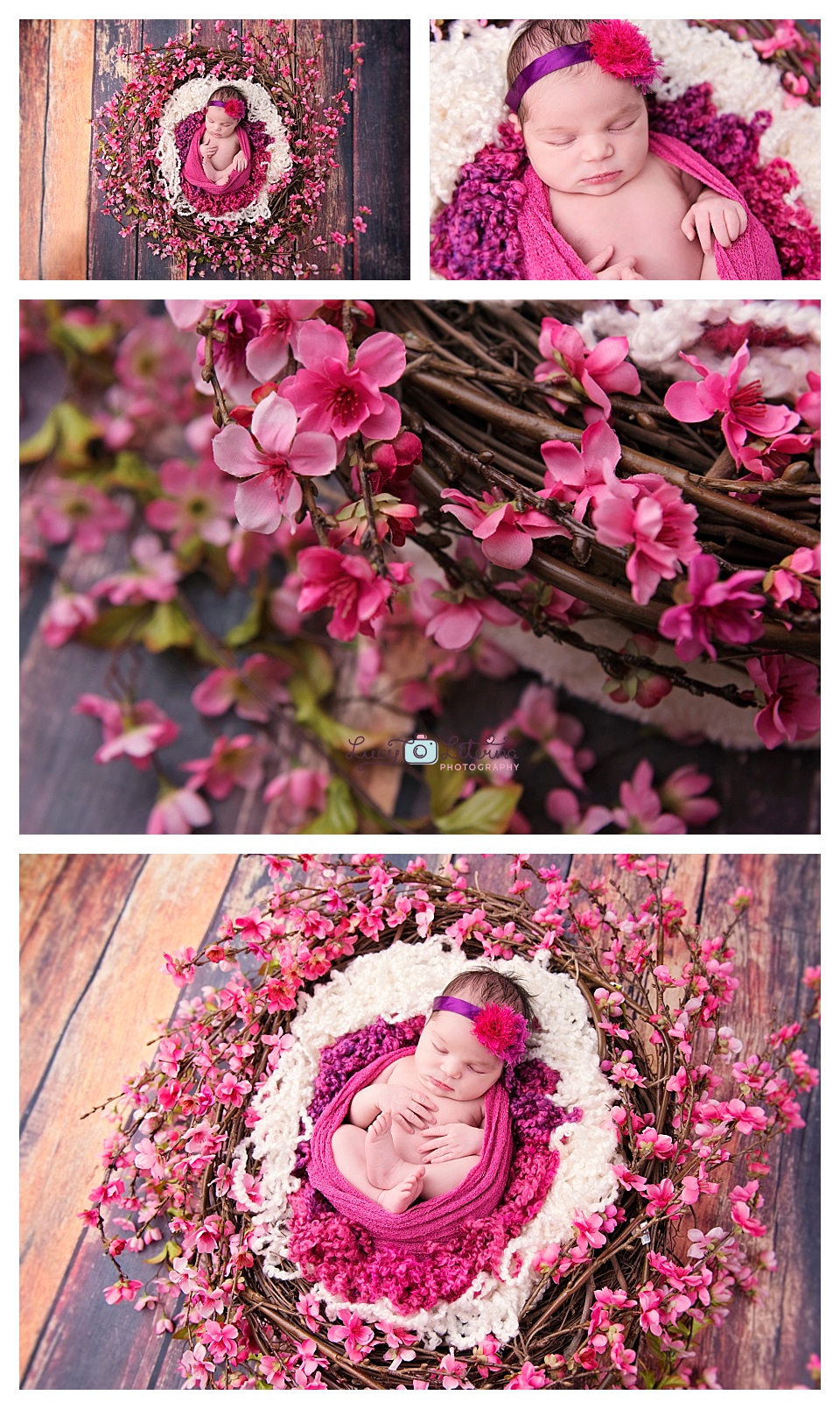 newborn photography baby girl flowers