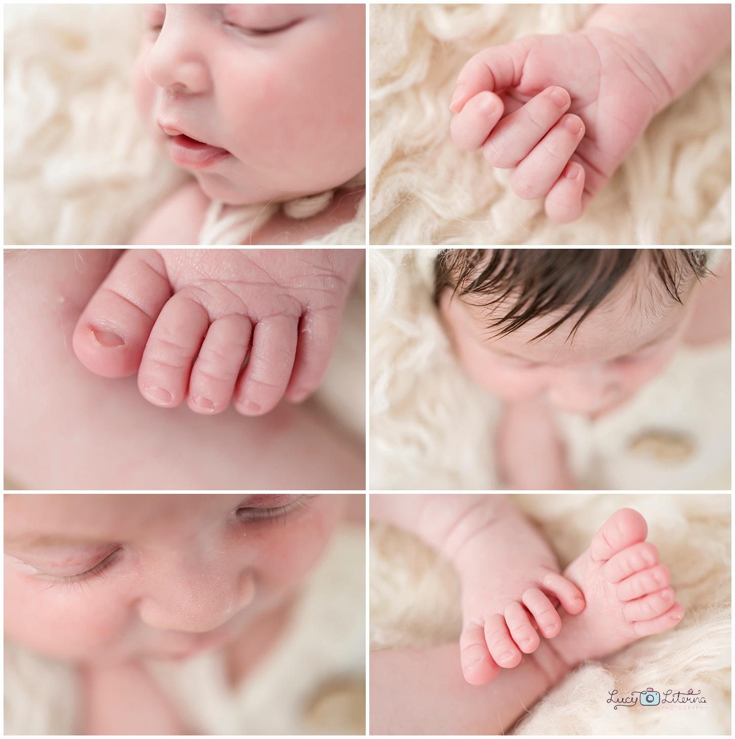 newborn photographer toronto