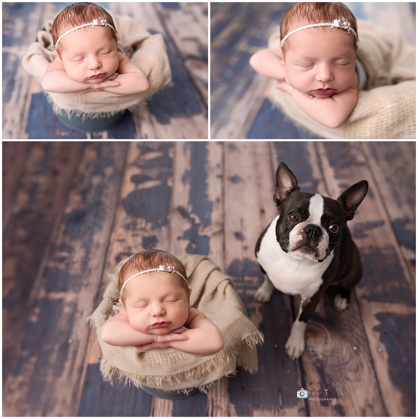 baby photography studio toronto