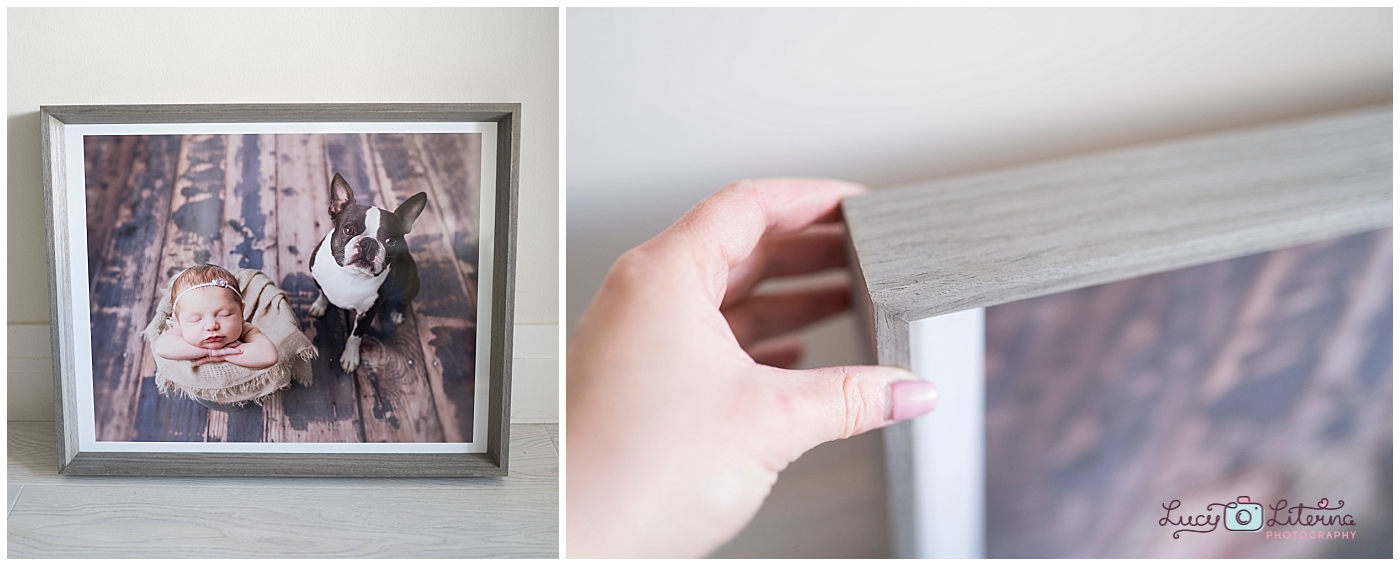 newborn photography frame