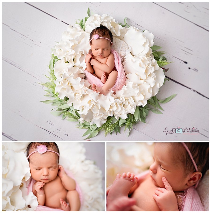 newborn photographer in toronto