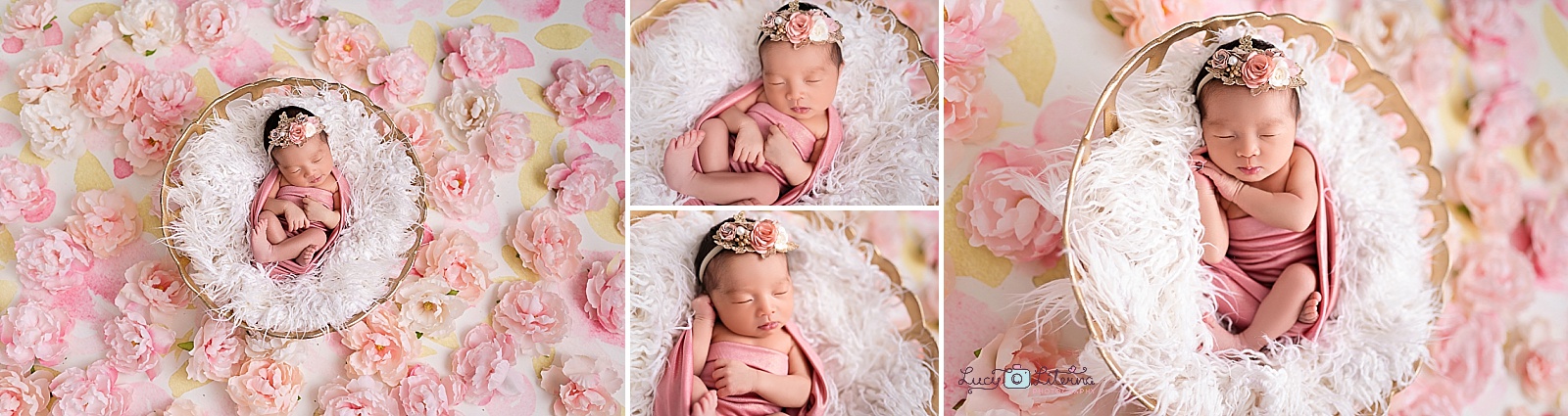 newborn photography toronto