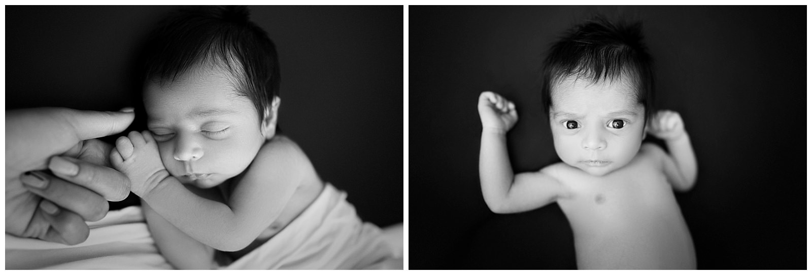 black and white newborn portraits 